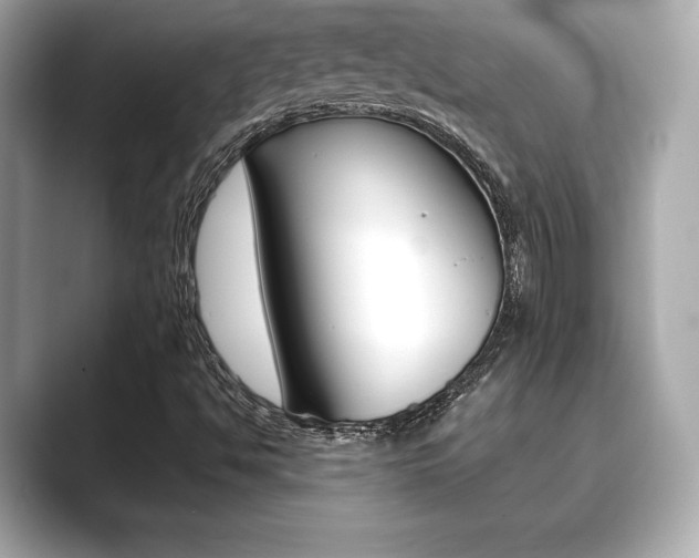 X0000089741494200706210853