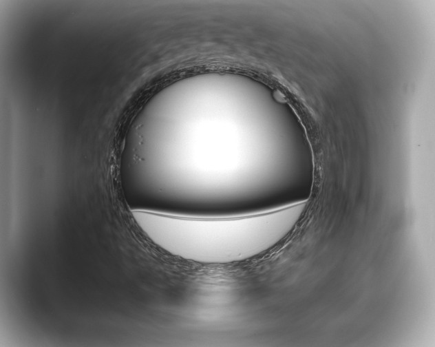 X0000089741495200706210853