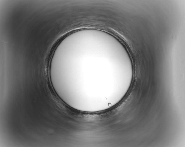 X0000089741498200706210853