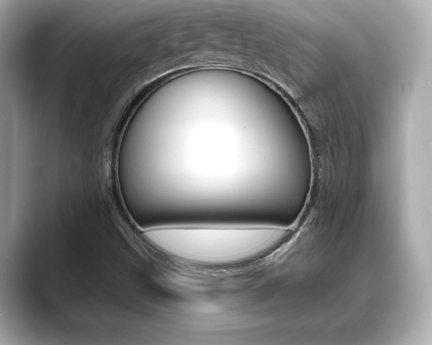 X0000089741499200706210853