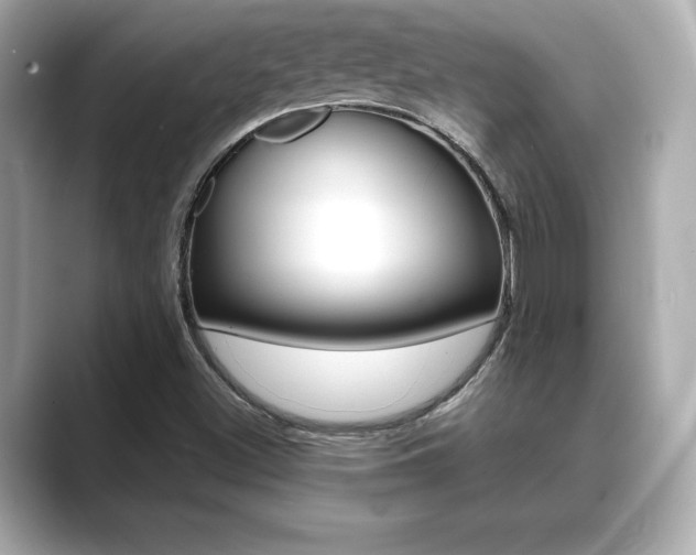 X0000089741500200706210853