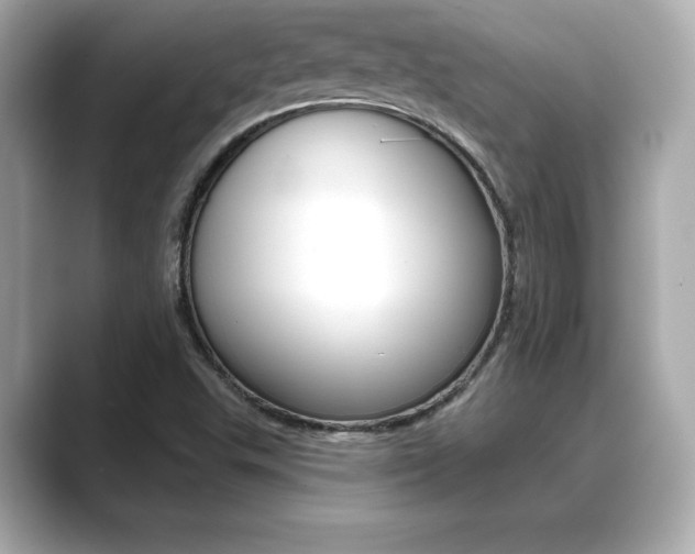 X0000089741503200706210853