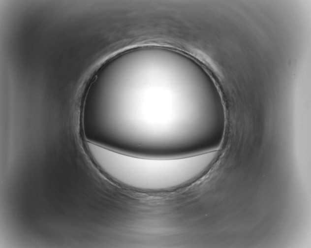 X0000089741504200706210853