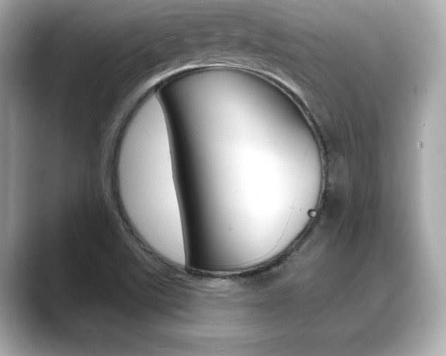 X0000089741507200706210853