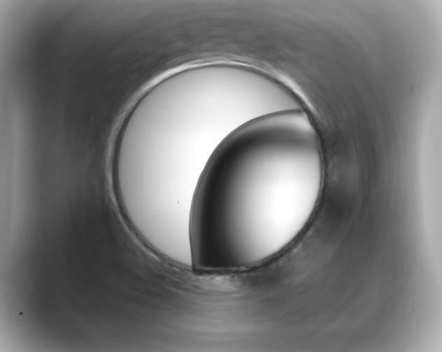 X0000089741508200706210853