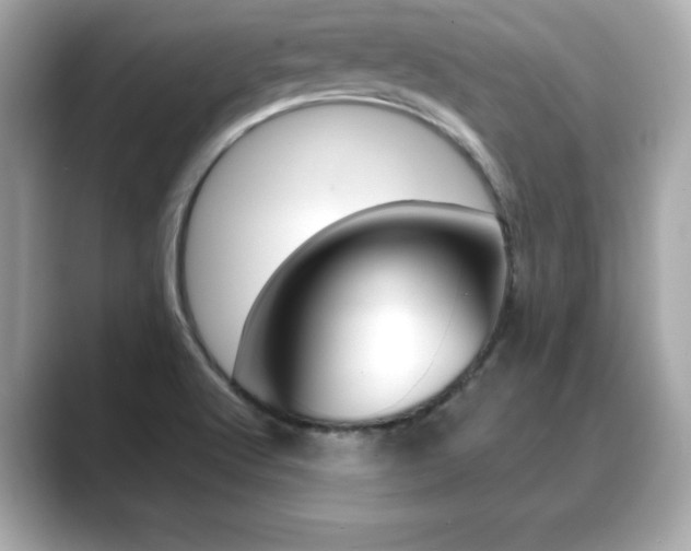 X0000089741512200706210853