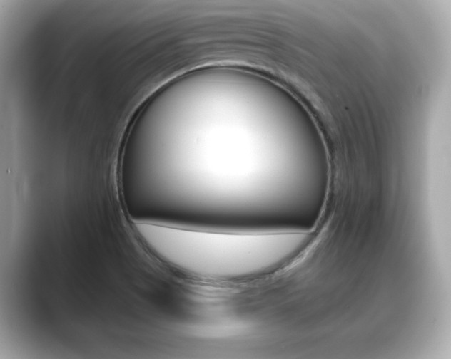 X0000089741513200706210853