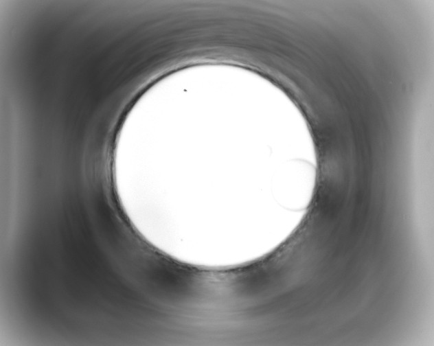 X0000089741514200706210853