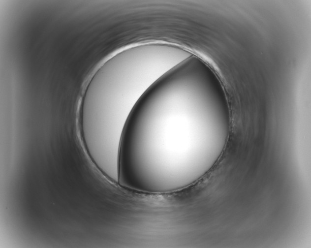 X0000089741524200706210854