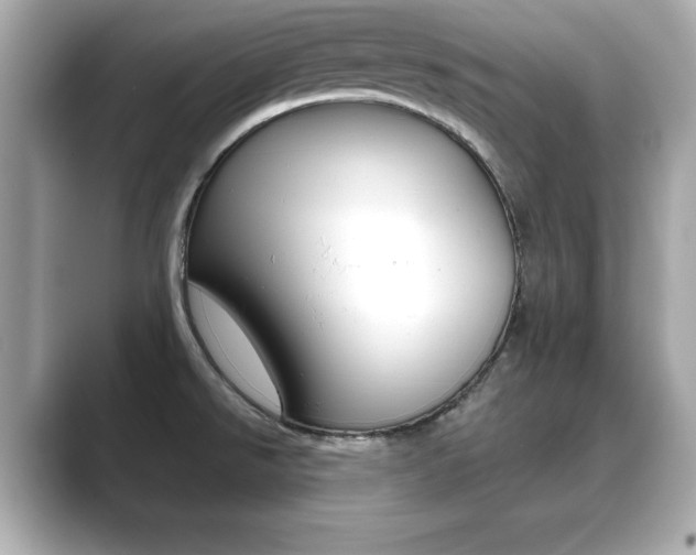 X0000089741526200706210854
