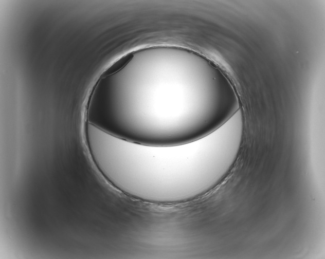 X0000089741528200706210854