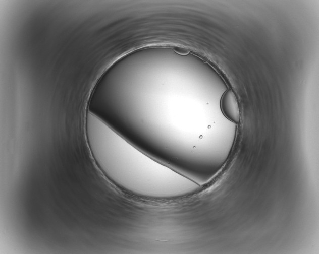 X0000089741529200706210854