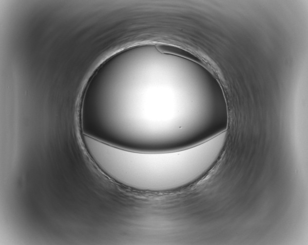 X0000089741530200706210854