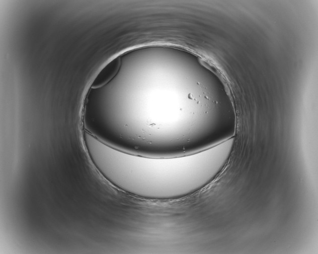 X0000089741532200706210854