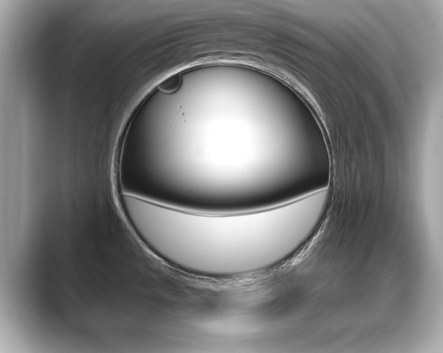 X0000089741533200706210854
