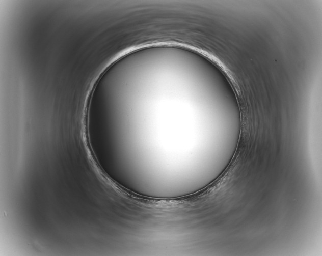 X0000089741534200706210854