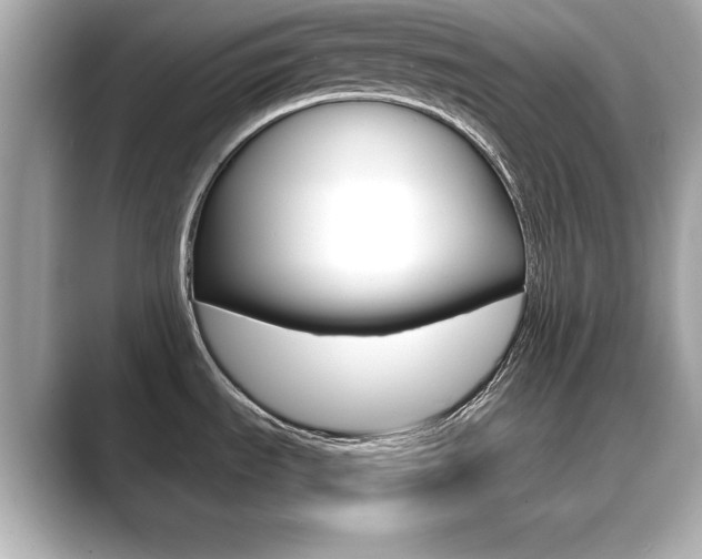 X0000089741535200706210854
