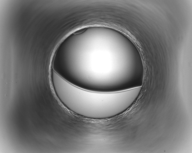 X0000089741536200706210854