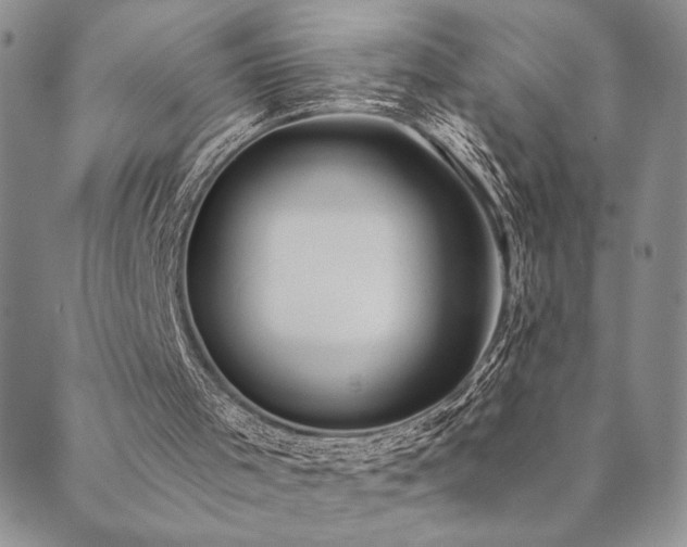 X0000089740001200706211513