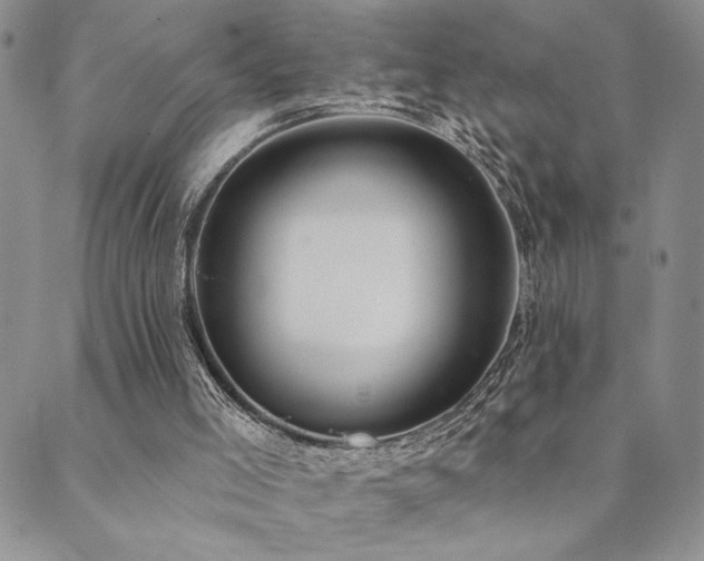 X0000089740005200706211513