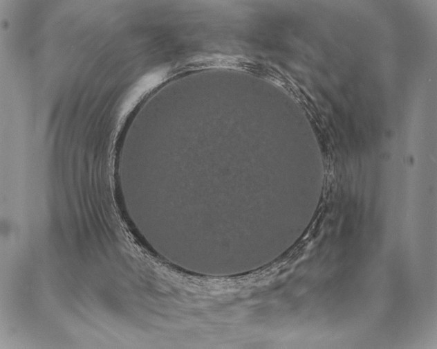 X0000089740006200706211513