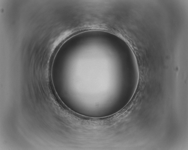X0000089740008200706211513