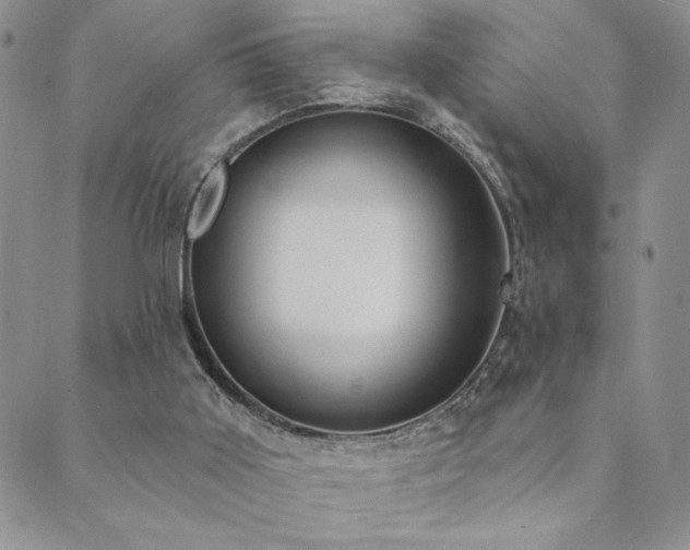 X0000089740011200706211513