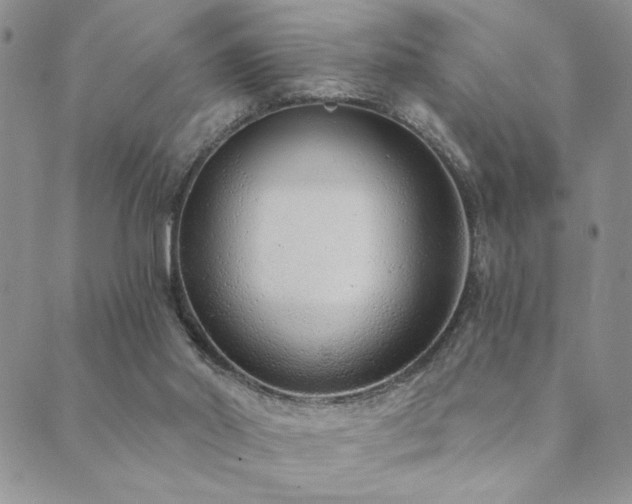 X0000089740014200706211513
