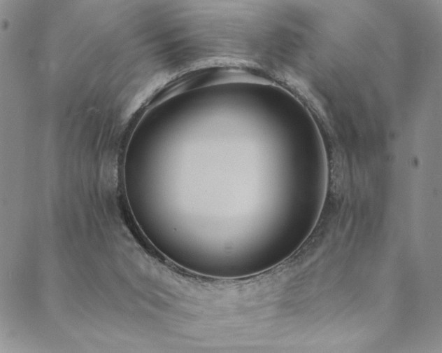 X0000089740015200706211513