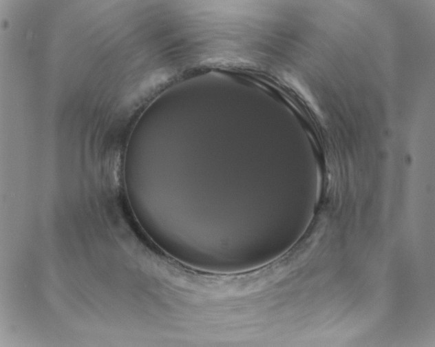 X0000089740023200706211513