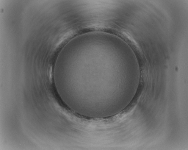 X0000089740024200706211513