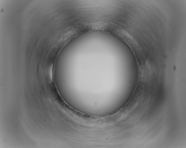X0000089740028200706211513