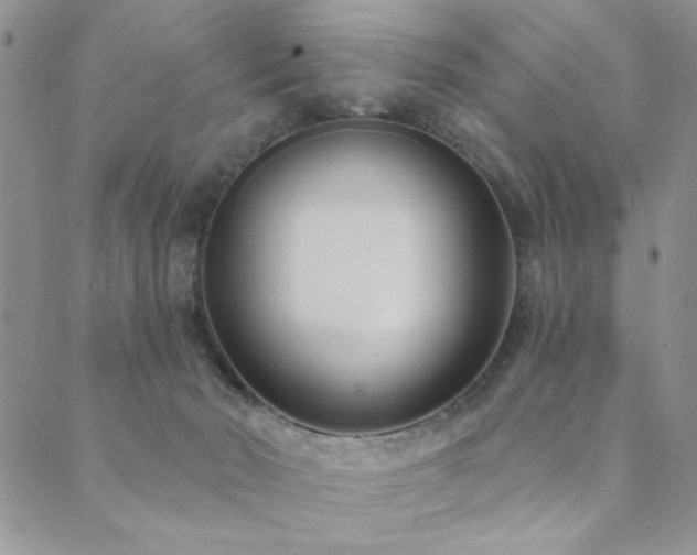 X0000089740030200706211513