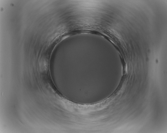 X0000089740039200706211513