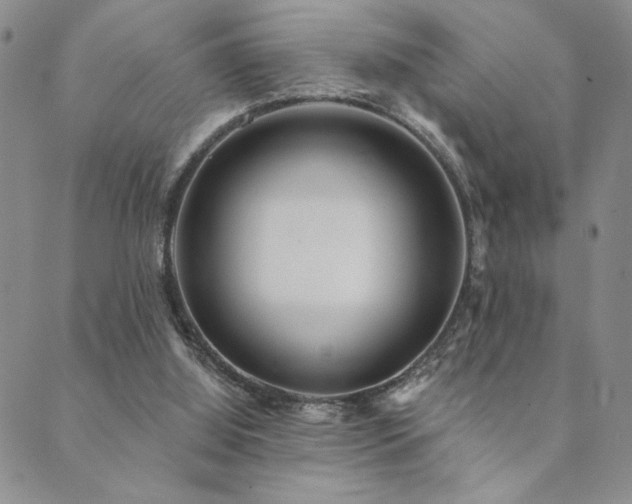 X0000089740060200706211512