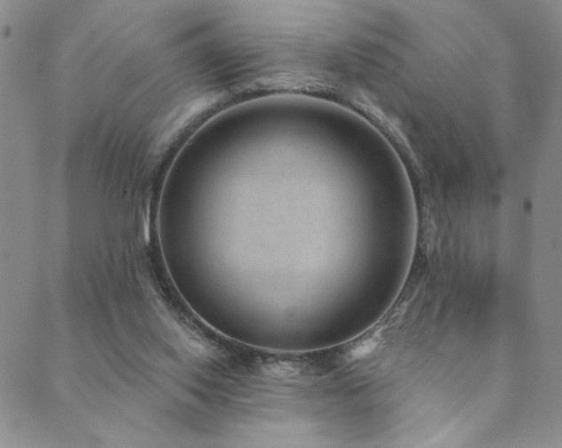 X0000089740062200706211512