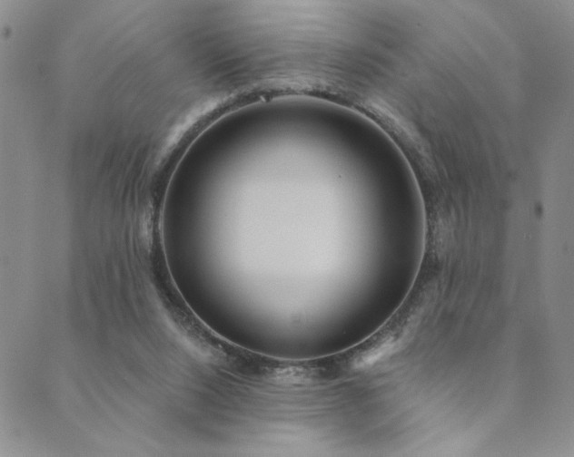 X0000089740064200706211512