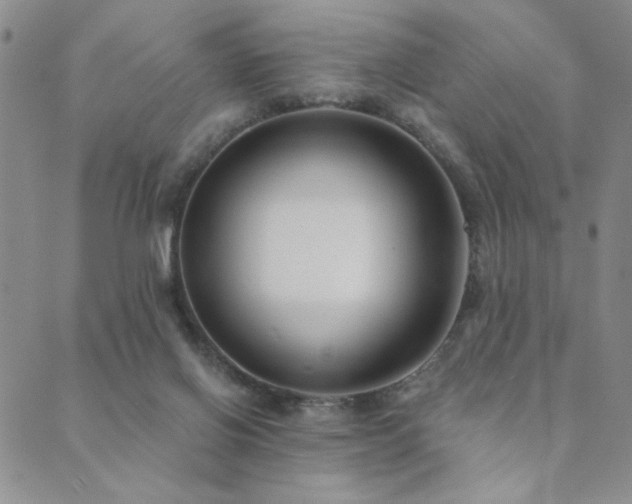 X0000089740070200706211512