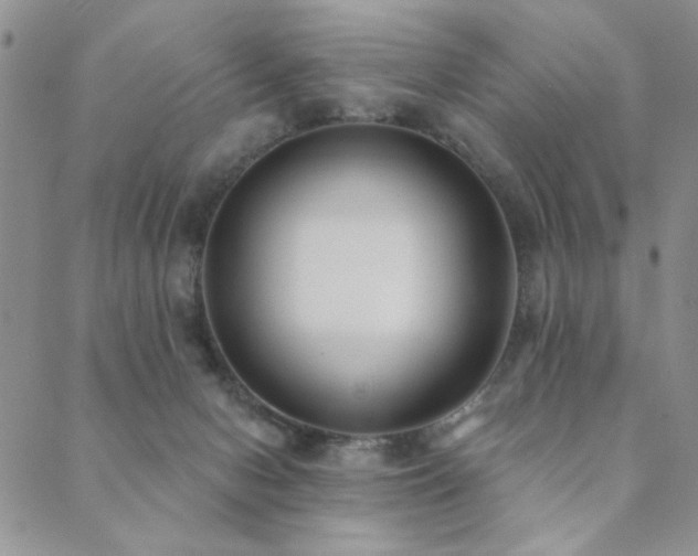 X0000089740078200706211512