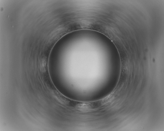 X0000089740082200706211512