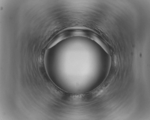 X0000089740084200706211512