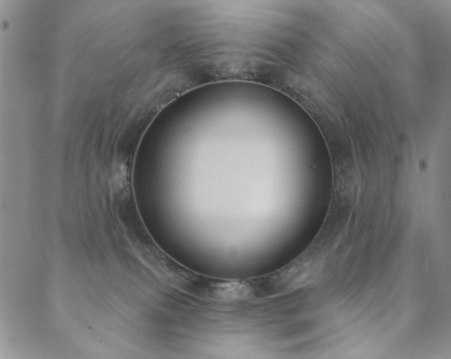 X0000089740087200706211513