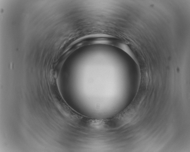 X0000089740088200706211513