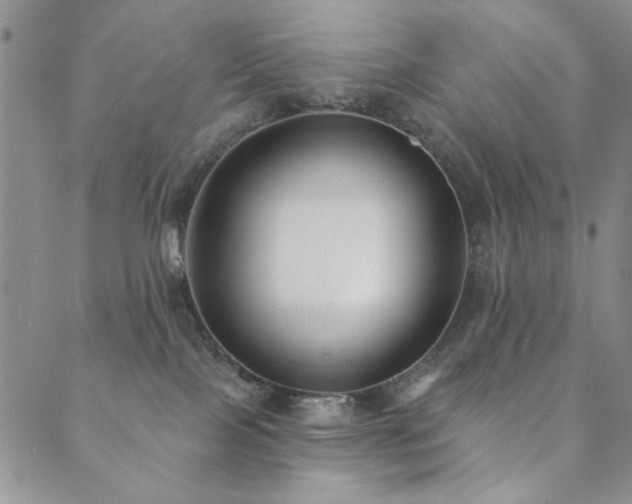 X0000089740089200706211513