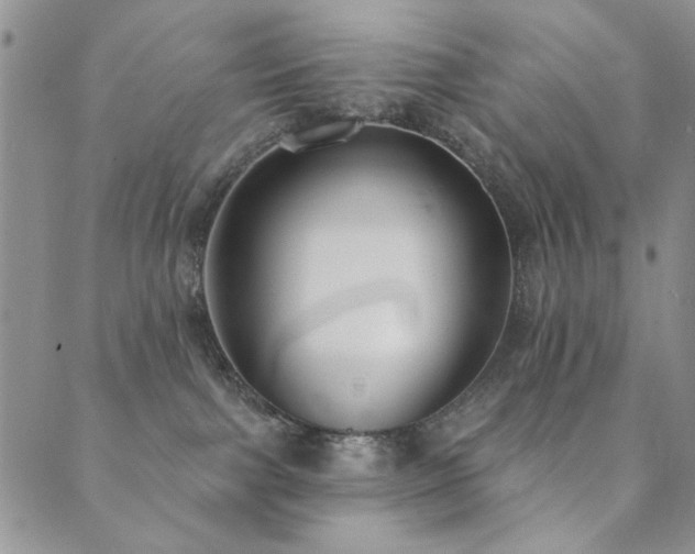 X0000089740091200706211513