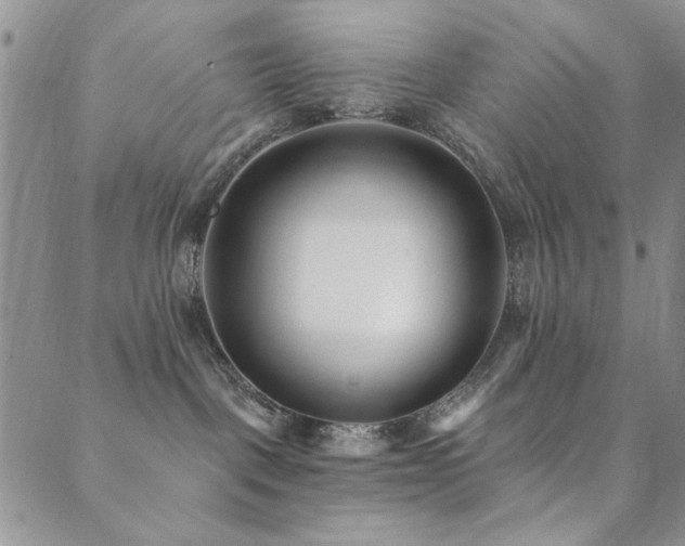 X0000089740093200706211513