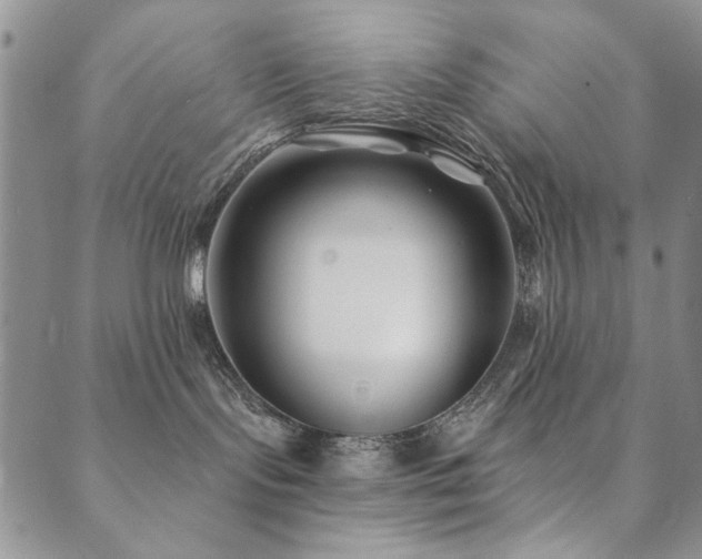 X0000089740095200706211513