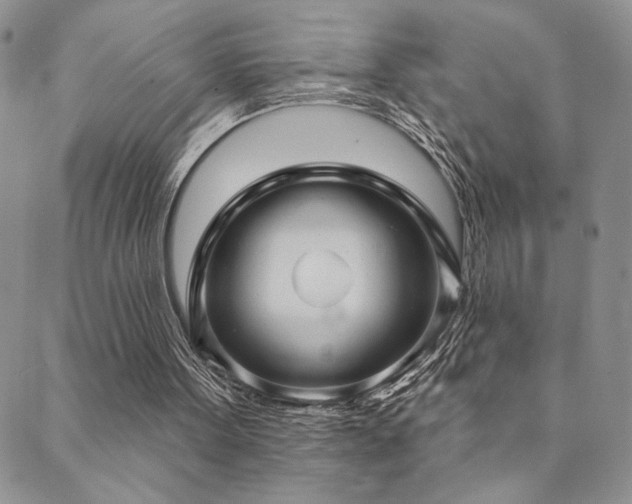 X0000089740099200706211512