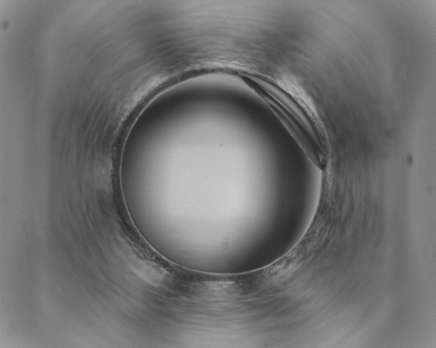 X0000089740108200706211512