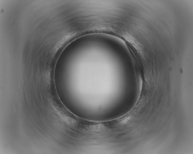 X0000089740112200706211512
